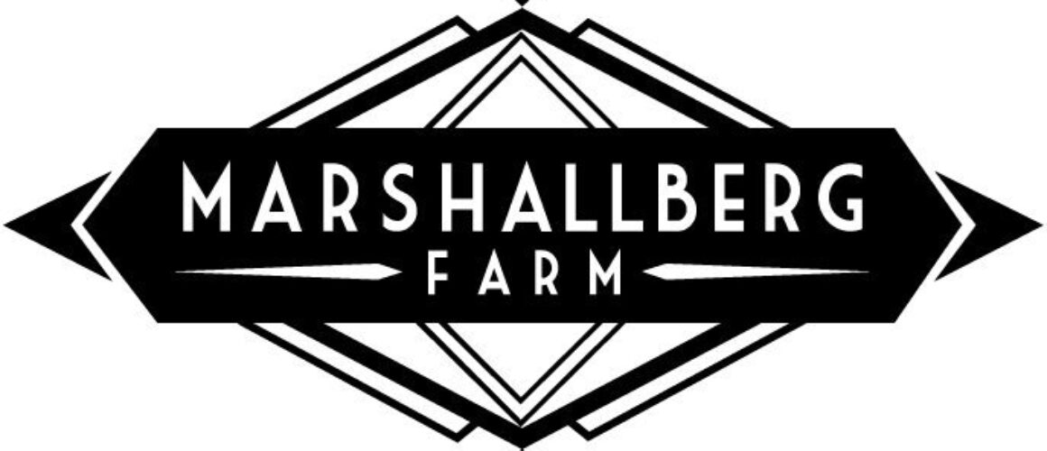 LOGO-FINAL