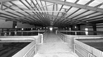 marshallberg farm