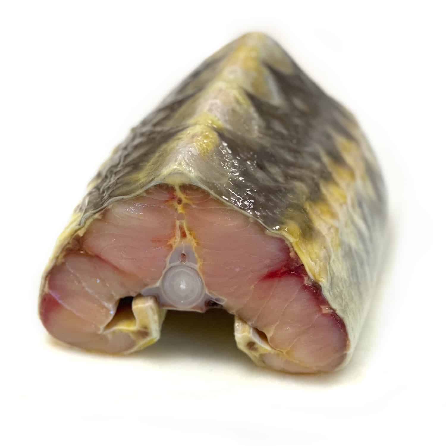 Sturgeon Bullet Boxes - Image 2