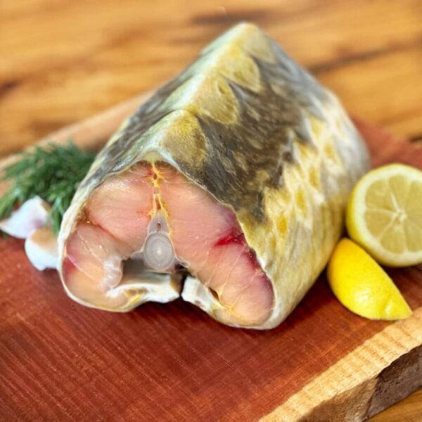 Sturgeon Bullet Boxes