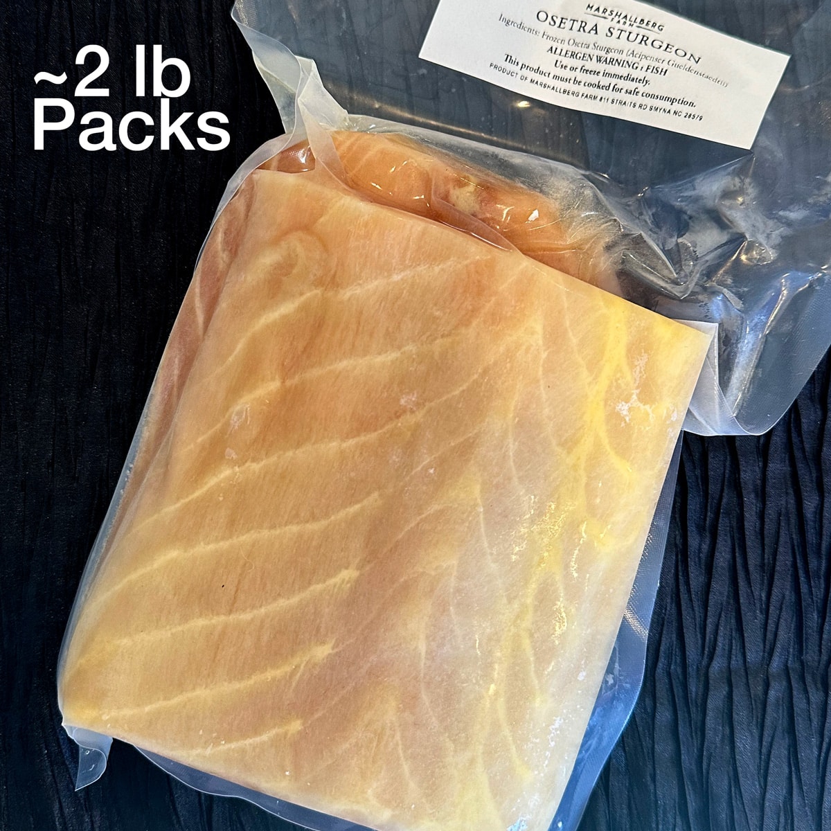 fresh-sturgeon